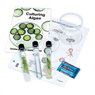 Chlamydomonas Mating Kit, Living