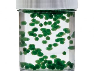 Cyanobacteria Beads, Anabaena, Living, Pack of 200