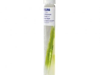 Chlamydomonas moewusii (–), Bacteria-Free, Living