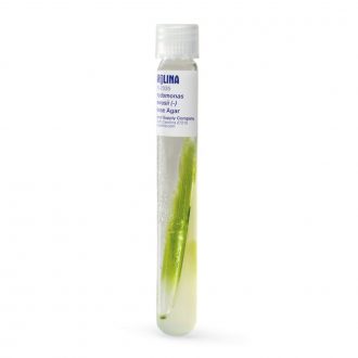 Chlamydomonas moewusii (–), Bacteria-Free, Living