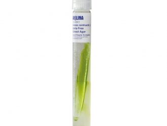 Chlamydomonas reinhardi (–), Bacteria-Free, Living