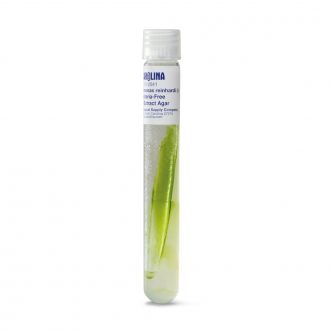 Chlamydomonas reinhardi (–), Bacteria-Free, Living