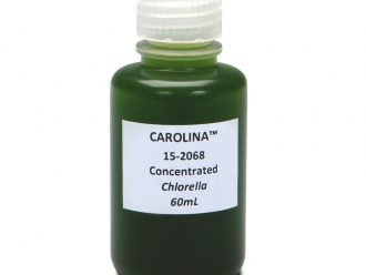 Chlorella, Concentrated, Living