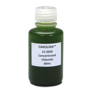 Chlorella, Concentrated, Living