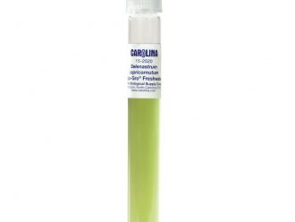 Selenastrum capricornutum, Living