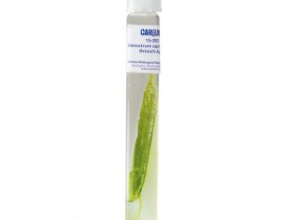 Selenastrum capricornutum, Bacteria-Free, Living