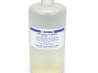 Chlamydomonas Medium, 1 qt
