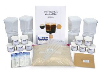 NASA AMES: Grow Your Own Microbial Mats