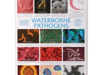 Waterborne Pathogens Pictomicrographs