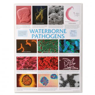 Waterborne Pathogens Pictomicrographs