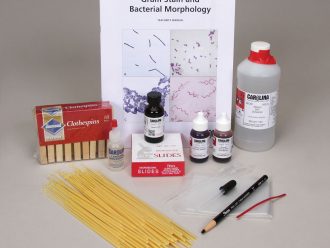 Gram Stain and Bacterial Morphology Kit (with voucher)