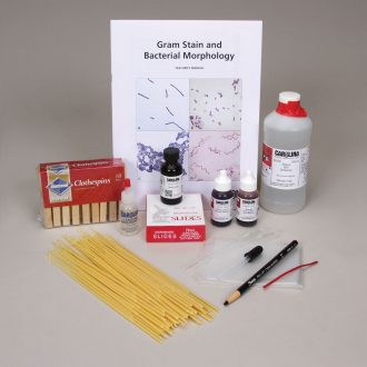 Gram Stain and Bacterial Morphology Kit (with voucher)