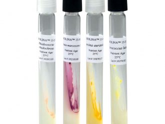 Pigmented Bacteria Set, Tube Cultures, Living