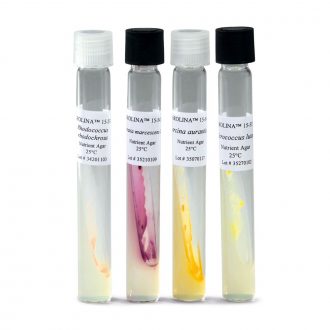 Pigmented Bacteria Set, Tube Cultures, Living