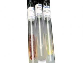 Introductory Bacteria Set, Living, Tube Cultures