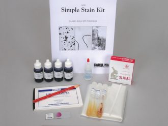 Simple Stain Kit