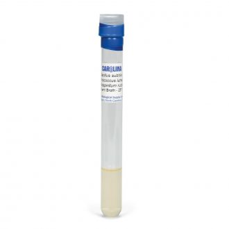 Mixed Suspension of Introductory Bacteria, Living