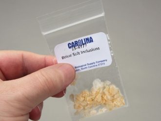 Culture Packet of Brine Salt Inclusions