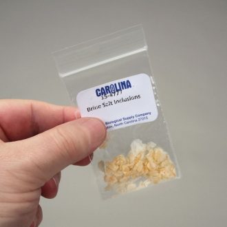 Culture Packet of Brine Salt Inclusions