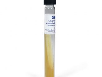 Corynebacterium pseudodiphtheriticum, Living, Tube