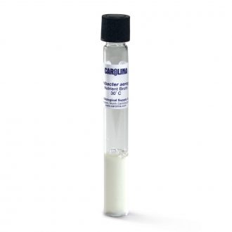 Enterobacter aerogenes, Living, Nutrient Broth, Tube