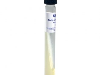 Enterobacter cloacae, Living, Tube