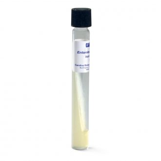 Enterobacter cloacae, Living, Tube