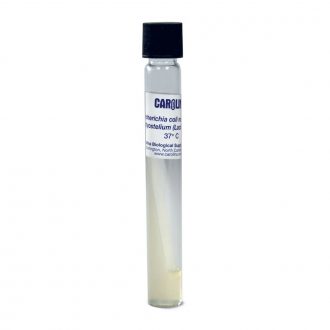 Escherichia coli, Nonmucoid, Living, Tube
