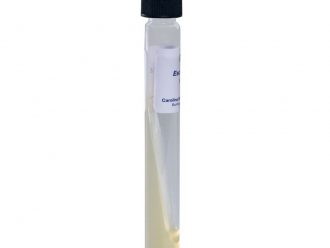 Escherichia coli B, Living, Tube