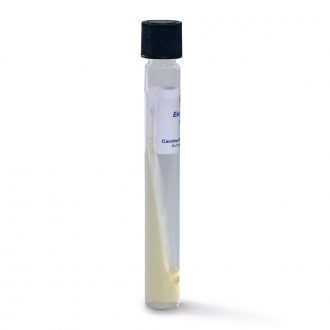 Escherichia coli B, Living, Tube