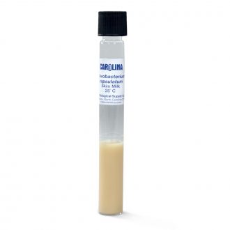 Flavobacterium capsulatum, Living, Tube