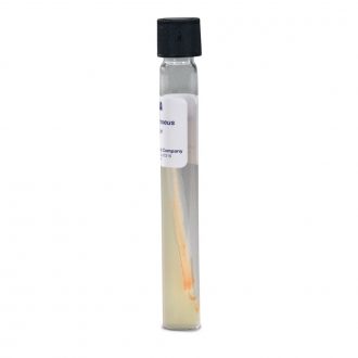 Micrococcus roseus, Living, Tube