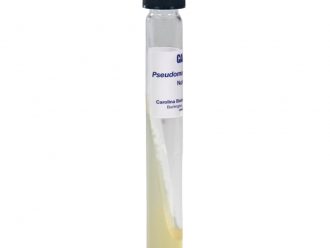 Pseudomonas fluorescens, Living, Tube