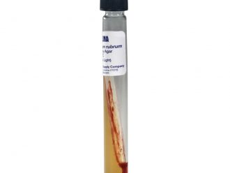 Rhodospirillum rubrum, Living, Tube