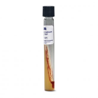 Rhodospirillum rubrum, Living, Tube