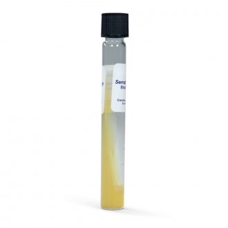 Serratia marcescens WCF, Living, Tube