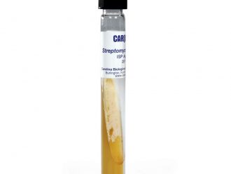 Streptomyces griseus, Living, Tube