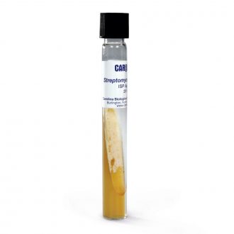 Streptomyces griseus, Living, Tube