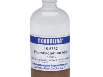 Photobacterium Agar, Prepared Media Bottle, 125 mL