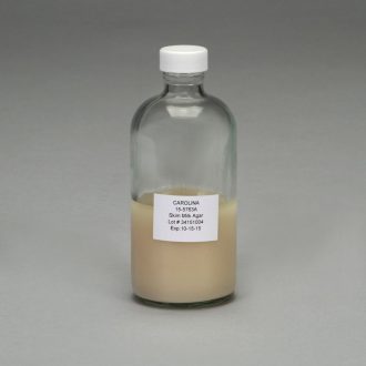 Skim Milk Agar, Prepared Media Bottle, 125 mL