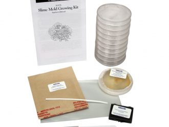 Slime Mold Growing Kit