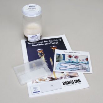 Coprinus cinereus Study Kit