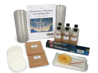 Chemotaxis in Physarum polycephalum Kit