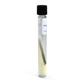 Penicillium italicum, Living, Tube