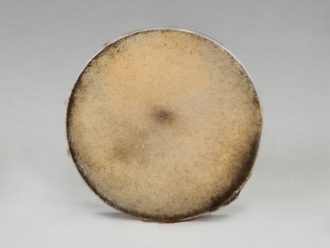 Rhizopus stolonifer (+), Living, Plate