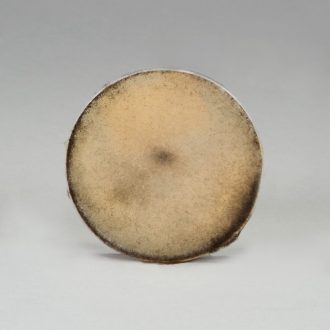 Rhizopus stolonifer (+), Living, Plate
