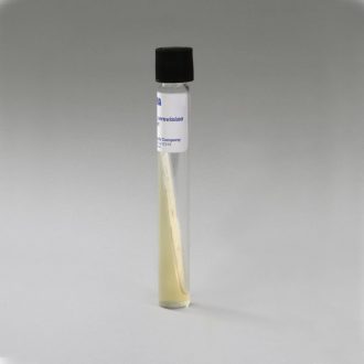 Saccharomyces cerevisiae, Living, Tube