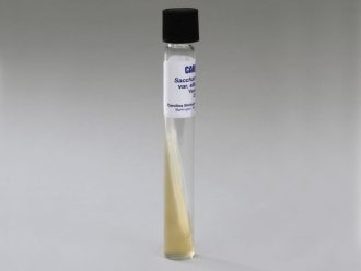 Saccharomyces cerevisiae var. ellipsoideus, Living, Tube