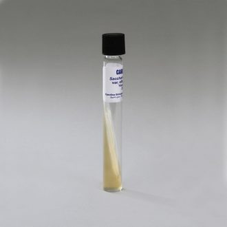 Saccharomyces cerevisiae var. ellipsoideus, Living, Tube