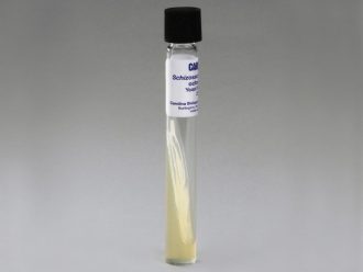 Schizosaccharomyces octosporus, Living, Tube